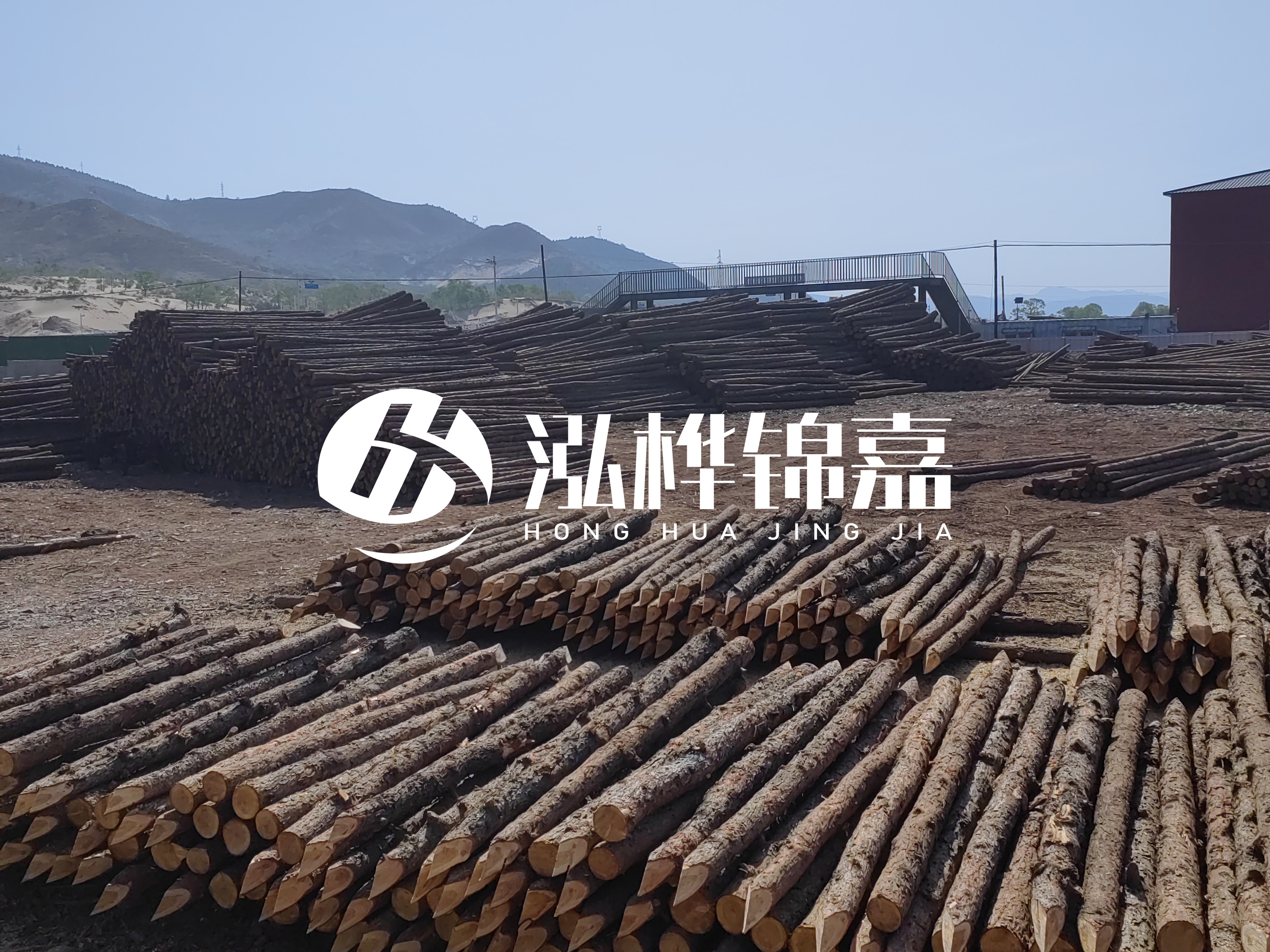 江蘇打樁木源頭廠家泓樺錦嘉-4米打樁木大頭14-16小頭一般多少？